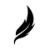 FEDER- LEICHT